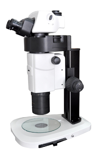 Motorized Stereo Microscope RSMr-X8