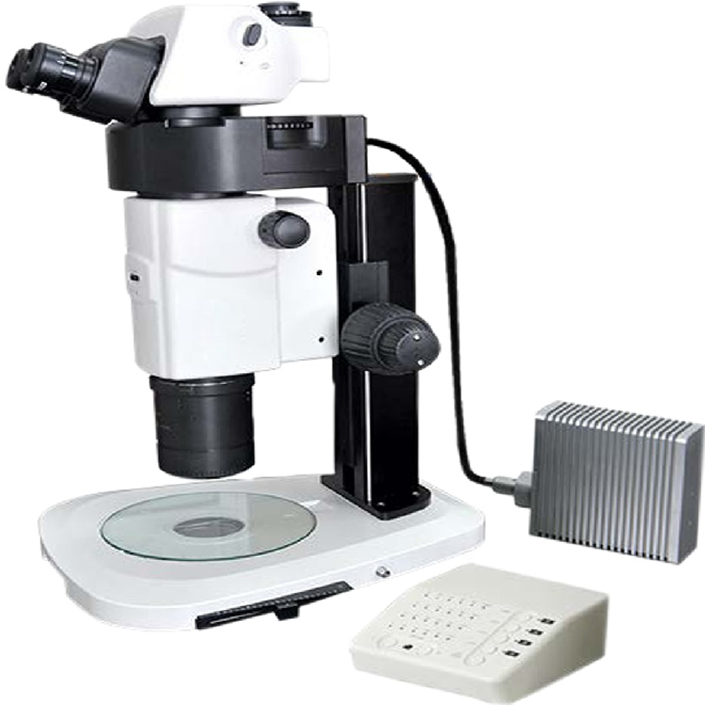 Motorized Stereo Microscopes