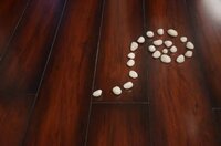 Laminated Wooden Flooring