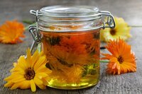 Calendula Oil - Cosmetic Grade Herbal Extract, 2-year Shelf Life, Antifungal & Anti-inflammatory Properties, Ideal For Skin Health & Moisturization