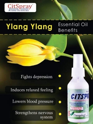 Ylang ylang Essential Oil