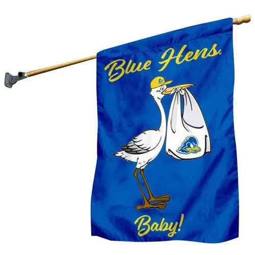 Promotional Flags