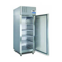 Blue Star RF2D700A Reach In Freezer