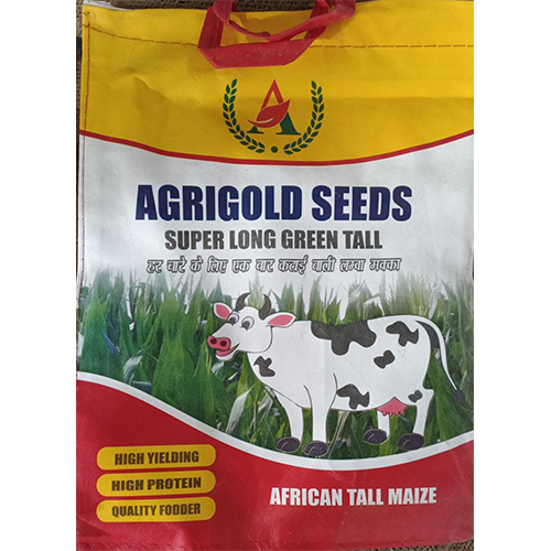 African Tall Maize Grass