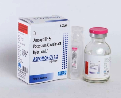 Amoxycillin Clavulanic Injection - Amoxycillin 1000mg + Clavulanic Acid 200mg | Broad Spectrum, Fast Action, Injectable Form, Refrigerated Storage