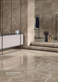 Polished porcelain tiles