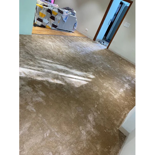 Cut Pile Carpet Flooring