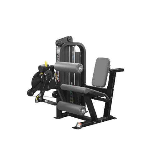 SEATED LEG CURL EXTENSION COMBO