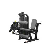 SEATED LEG CURL EXTENSION COMBO
