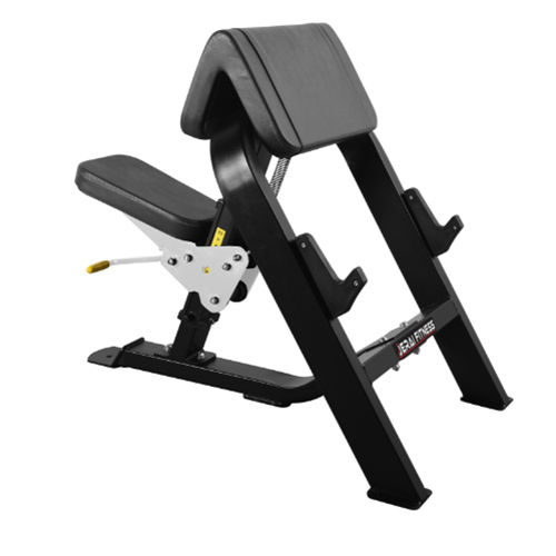 Preacher Curl Bench