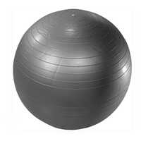 Anti Burst Gym Ball (75 cm)