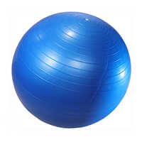 Anti Burst Gym Ball (65 cm)