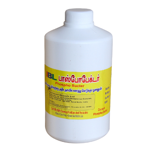 Phosphobacteria Bio Soluble Bacteria
