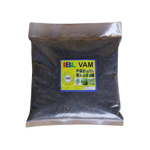 Vesicular Arbuscular Mycorrhizal Chemical Bio Fertilizer Powder