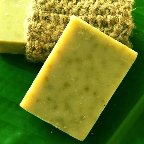 Natural Moringa Soap