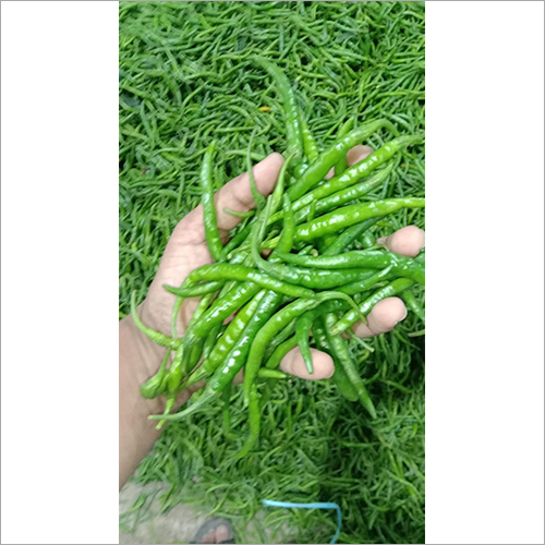 Green  Chili