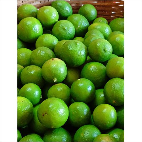 Fresh Lemon