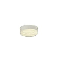 Pure Silver Powder