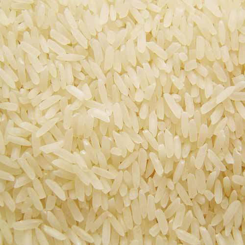 Steam Rice - Long Grain, High Purity; Common Cultivation Type, Dried for Versatile Cooking and Easy Preparation
