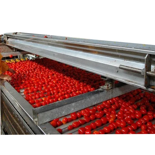 Fruit Processing Plant