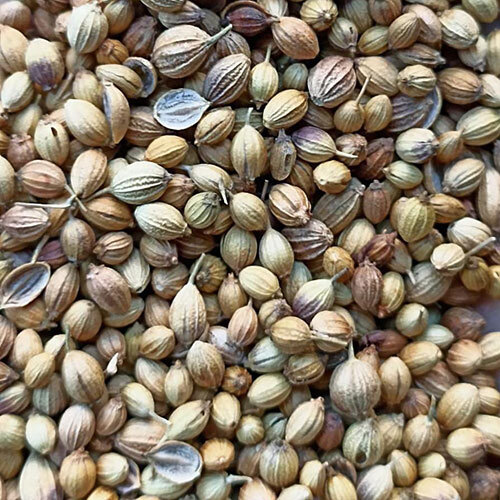 Fresh Coriander Seeds - Raw, Stored in Dry Place | Supports Healthy Blood Clotting, Kidney Function, and Bone Repair