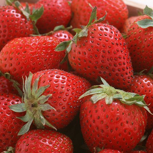 Frozen Strawberry