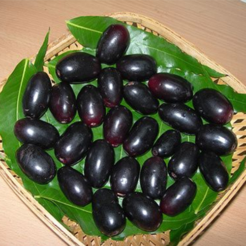 Frozen Kala Jamun