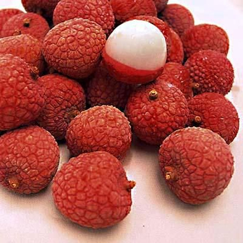 Frozen Lychee