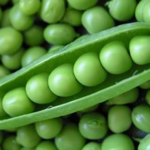 Frozen Green Peas