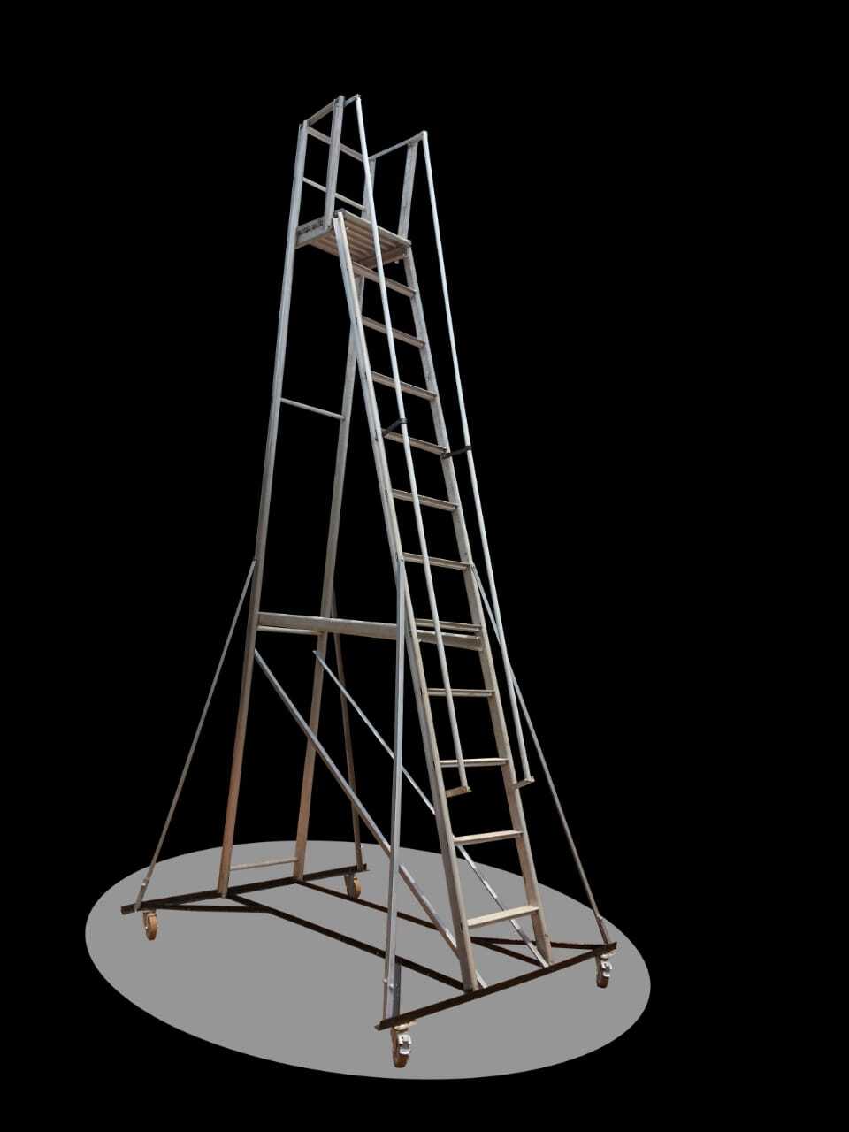 Industrial Trolley Ladder
