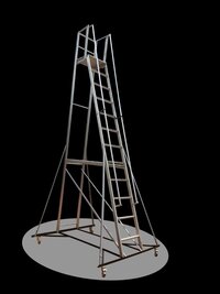 Industrial Trolley Ladder