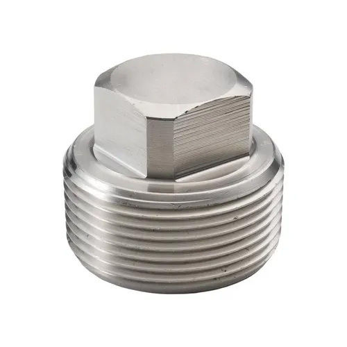 Silver 316 Stainless Steel Plug