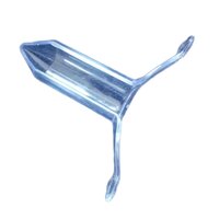 Transperent Beak Proctoscope