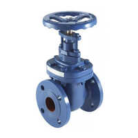 Blue Cast Carbon Steel Gate Valves