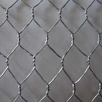 Double Twisted Hexagonal Gabion