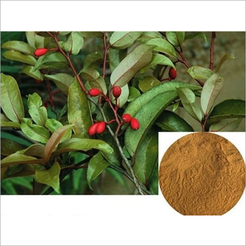 Herbal Product Muria Puma Extract