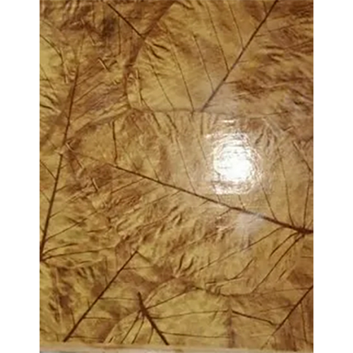 Buffet Paper Plate Raw Material