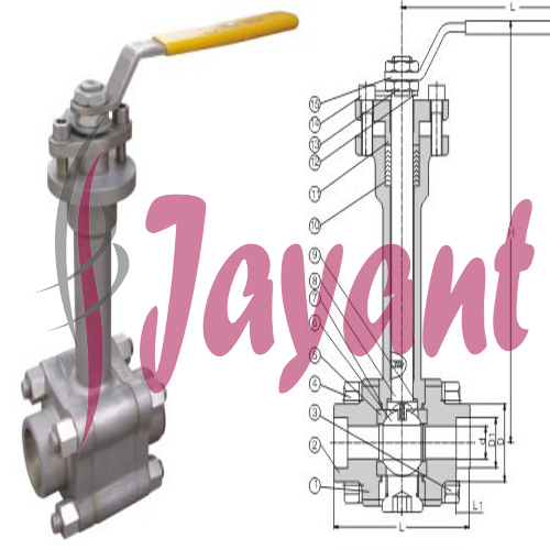 Cryogenic Globe Valve