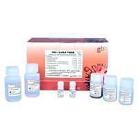 Gb Aura Pure Rna Isolation Kit Grade: A