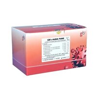 GB Aura Pure RNA Isolation Kit