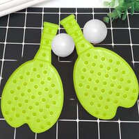 PLASTIC TABLE TENNIS RACQUET WITH BALL (8025)