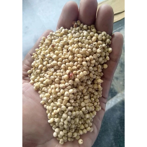 Natural Yellow Sorghum Seeds