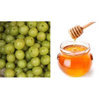 Organic Amla Honey - Food Grade | Shelf Life: 2 Years, Packaging: Piece