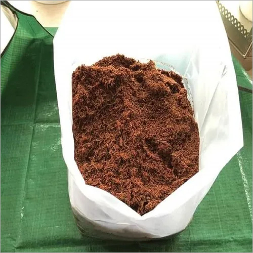 Dark Brown Coir Peat