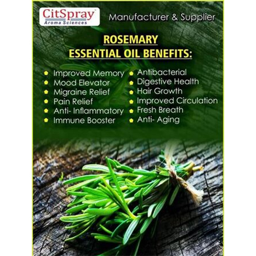 Rosemary Essential Oil