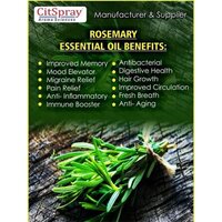 Rosemary Essential Oil