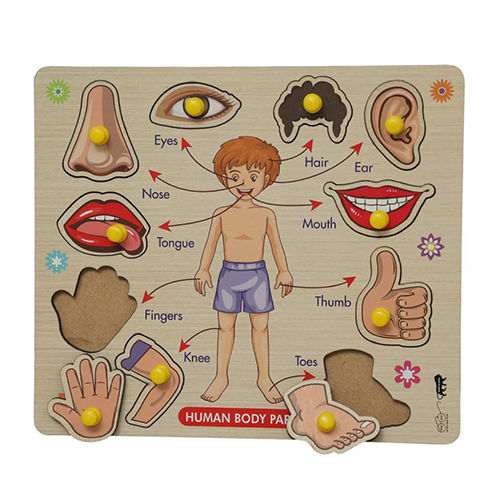 Human Body Parts Plastic Toys