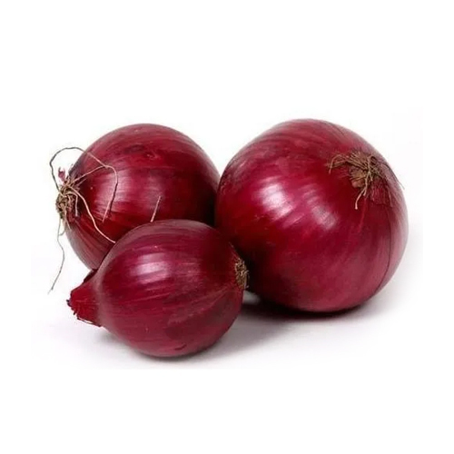 Fresh Red Onion Moisture (%): Nil