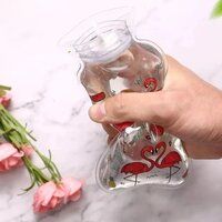 HOT WATER BAG TRANSPARENT