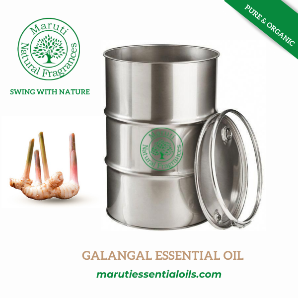 Galangal Essential Oil